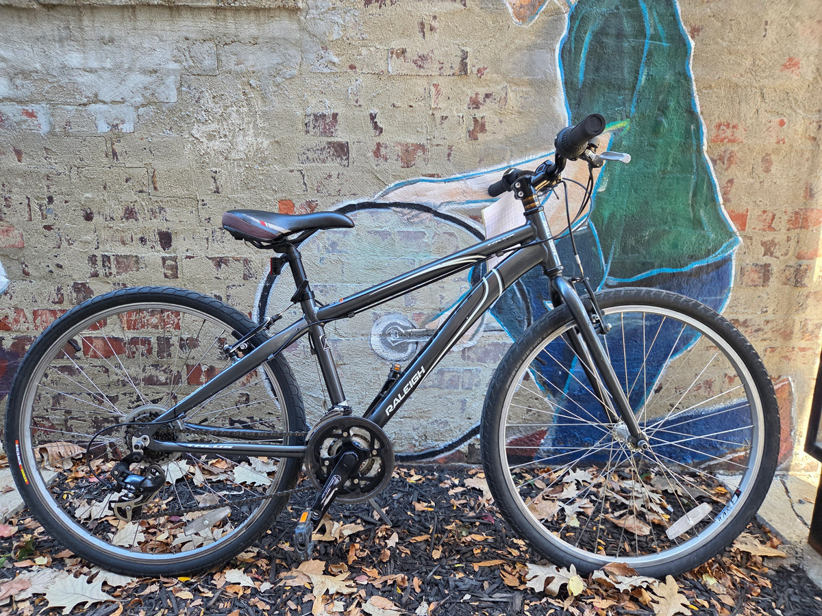 Raleigh Talus Grey XS
