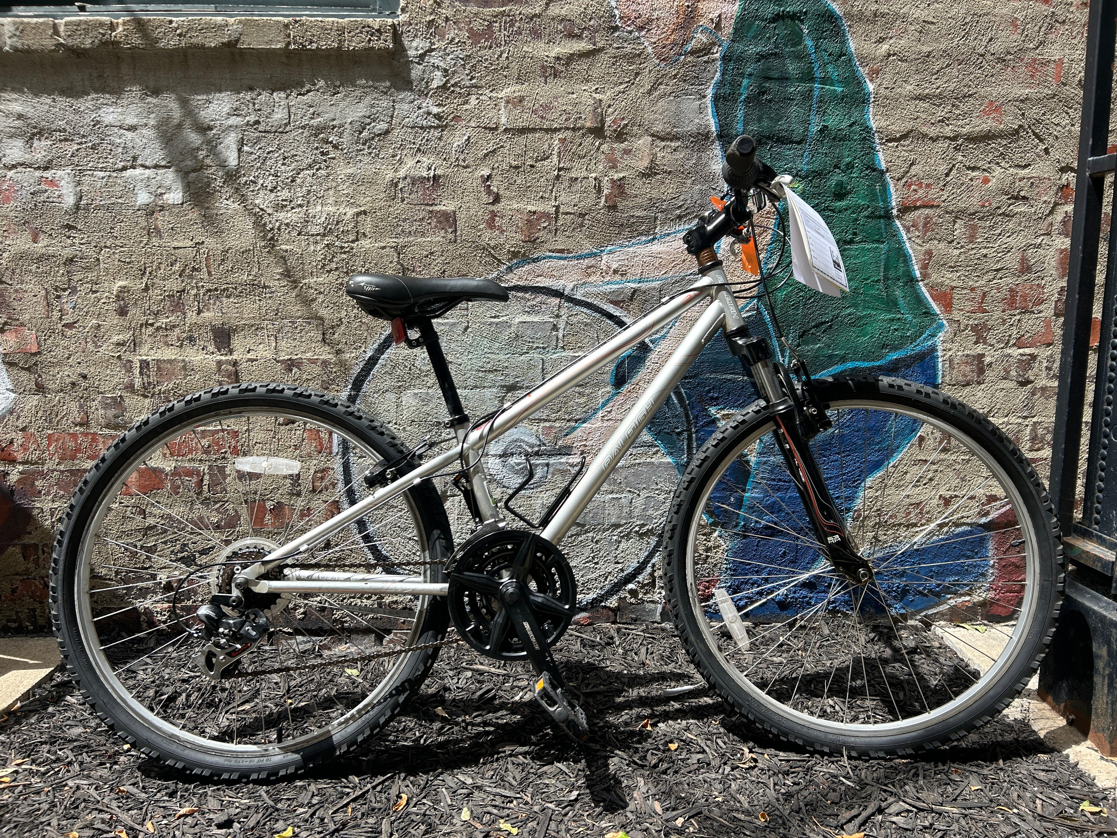Raleigh Talus 2.0 Silver 12”