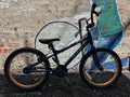 Raleigh MXR Blue 20” Wheel