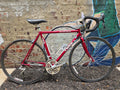 Trek 1100 Red 54cm