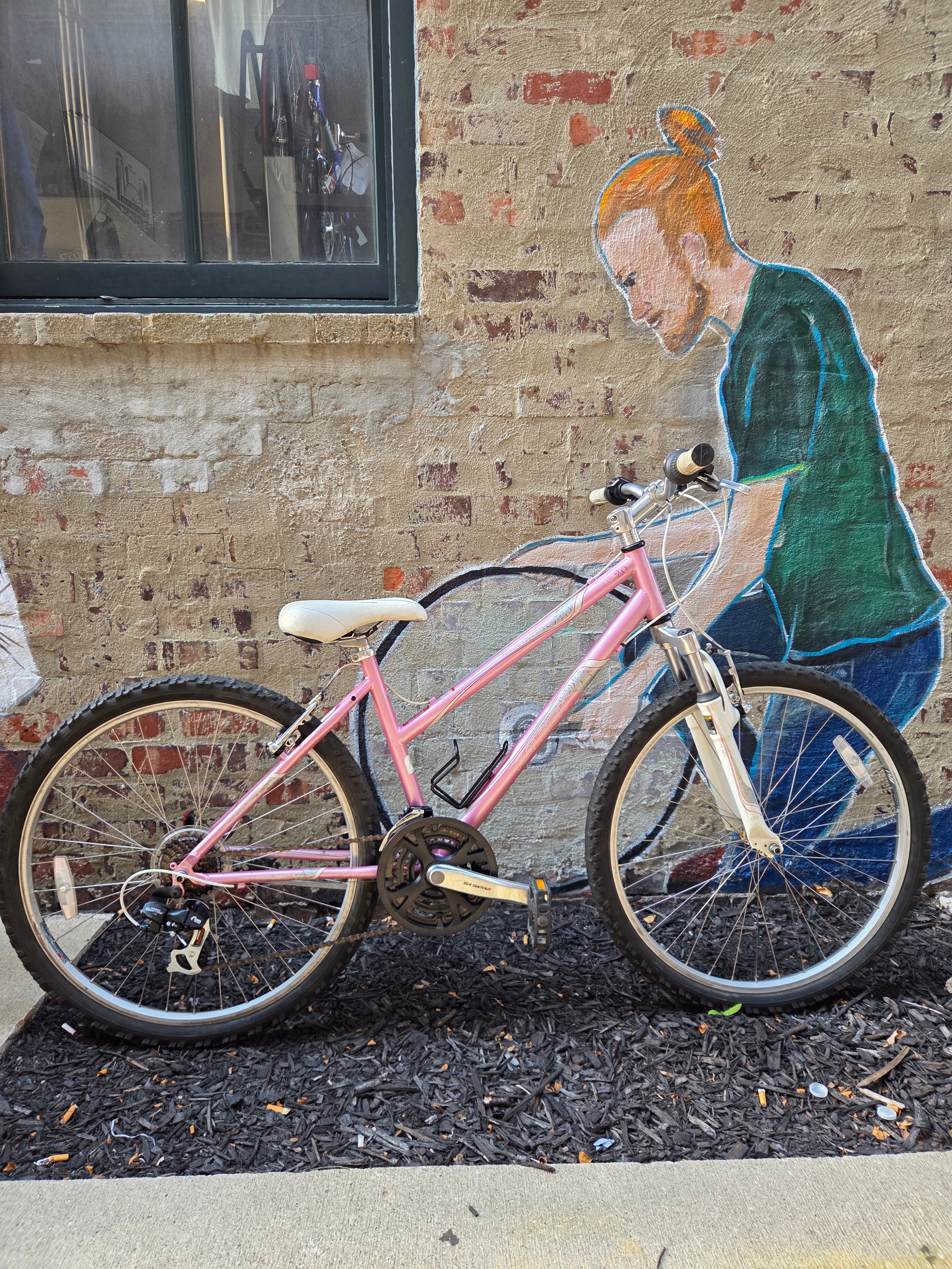 Raleigh Eva 2.0 Pink 16"