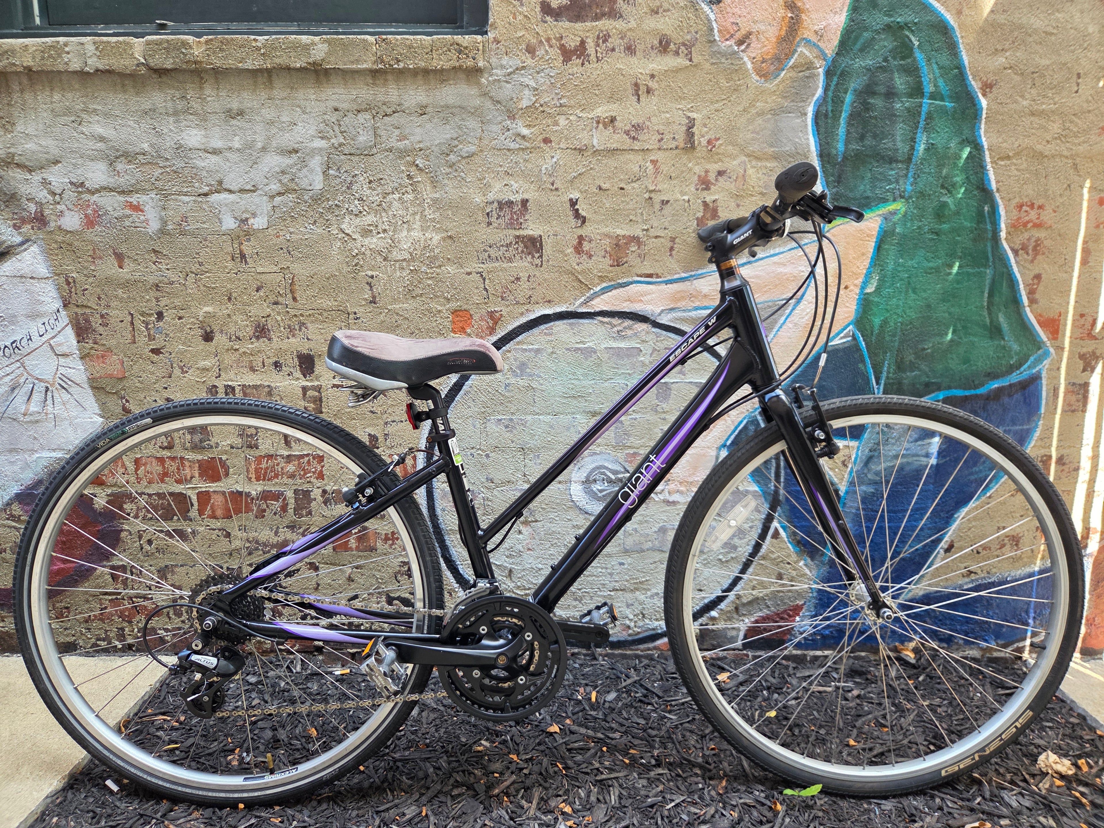Giant Escape Black 15" ST