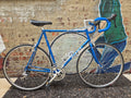 Giant Perigee Blue 61"