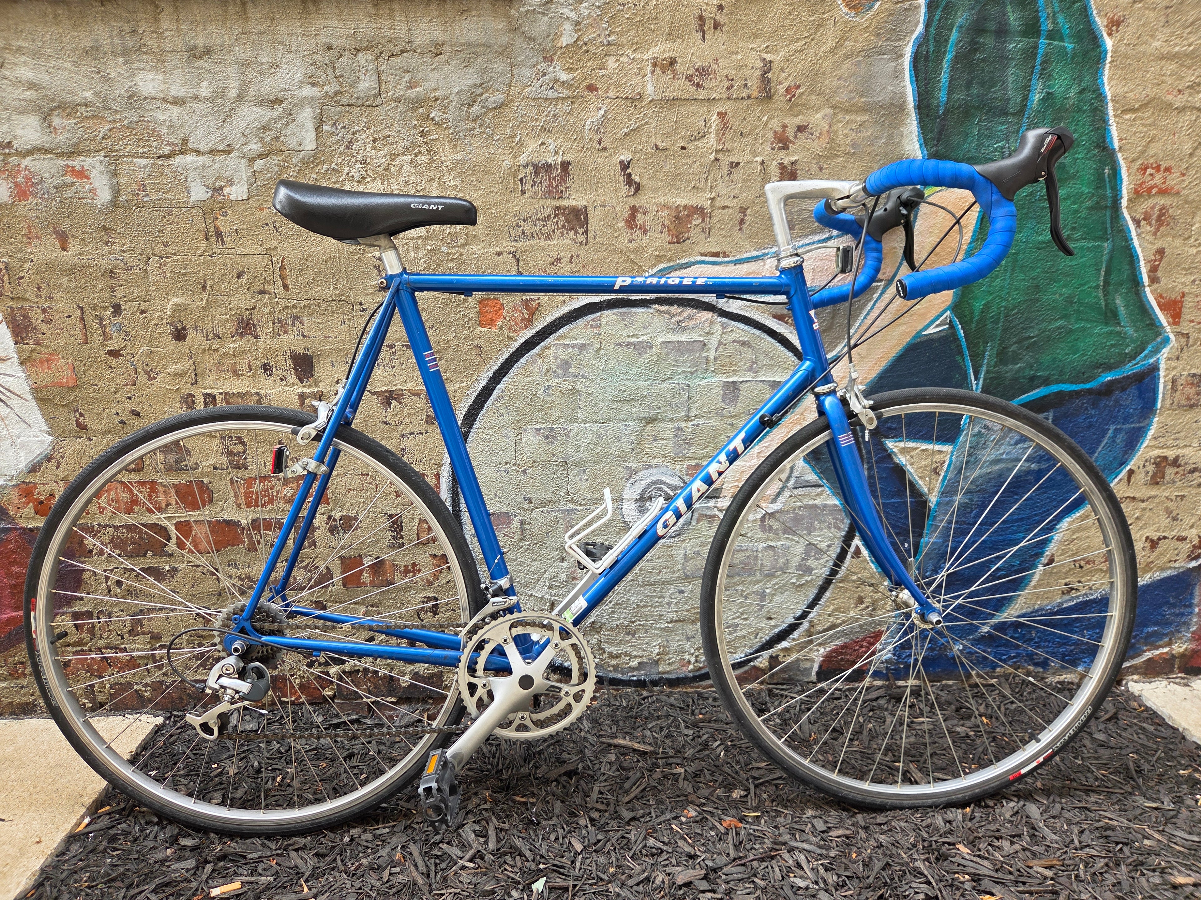 Giant Perigee Blue 61"