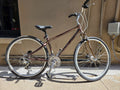 Giant Cypress LX Bronze 17"
