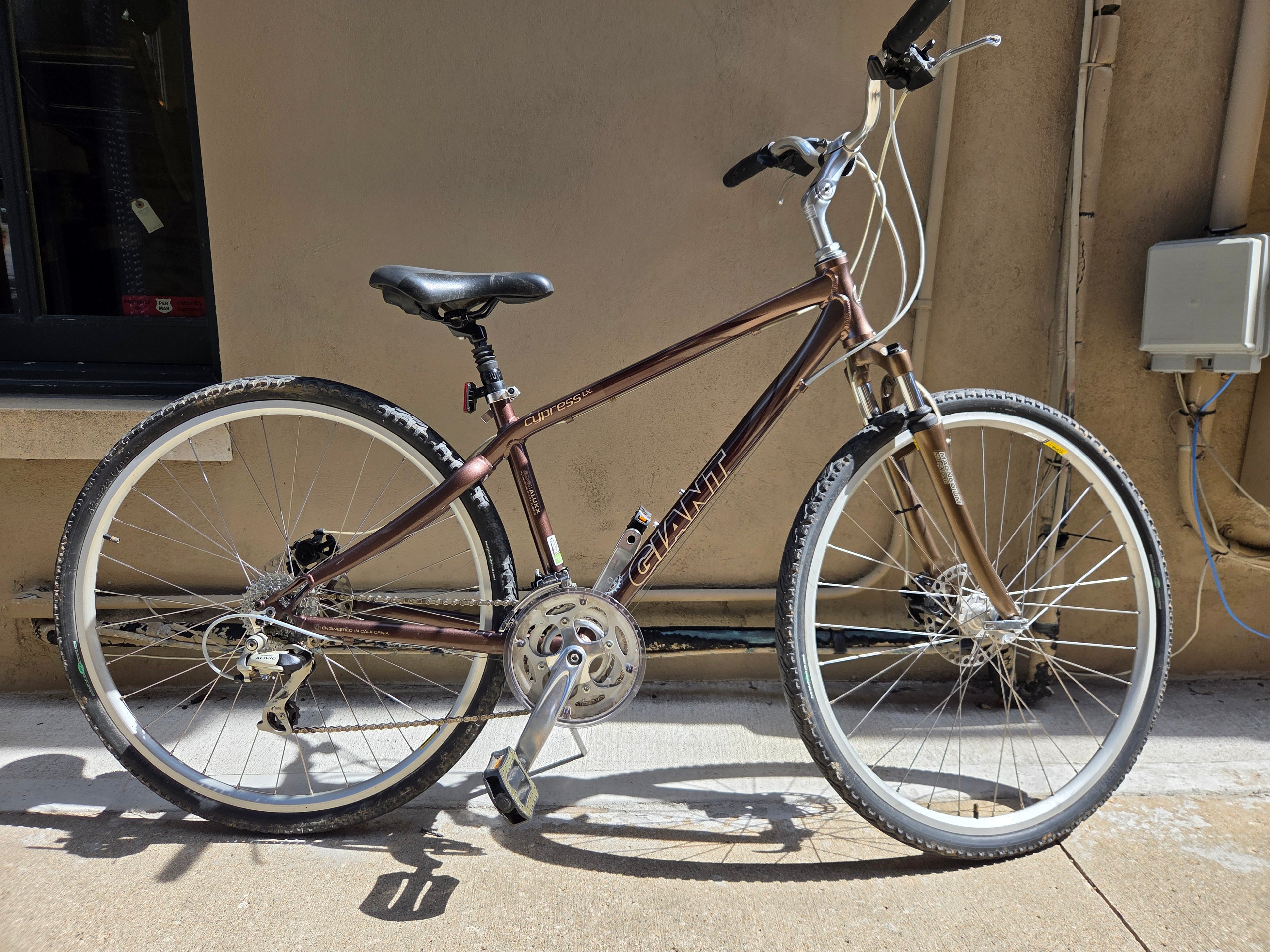 Giant Cypress LX Bronze 17"