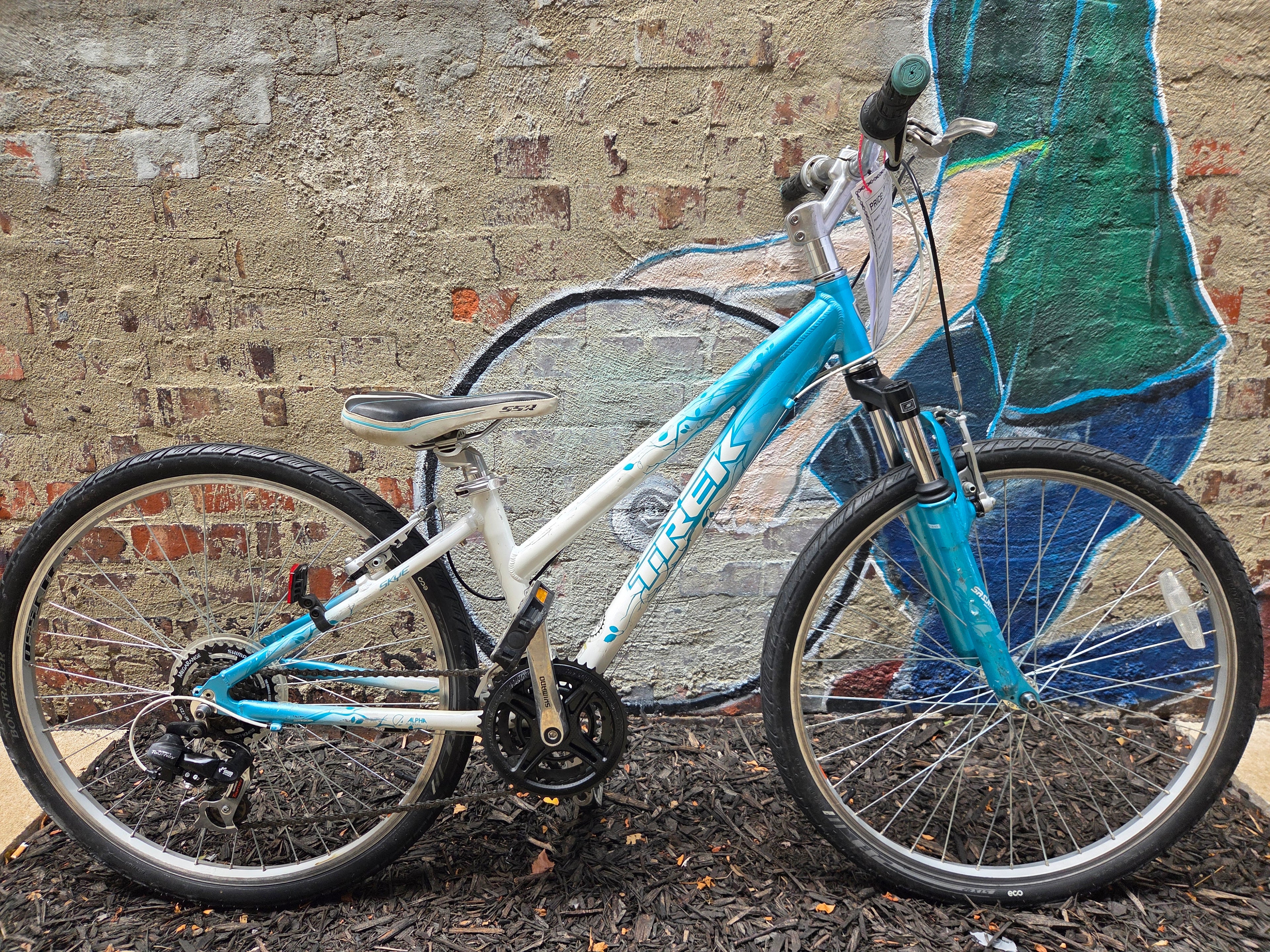 Trek Skye Teal/White XS