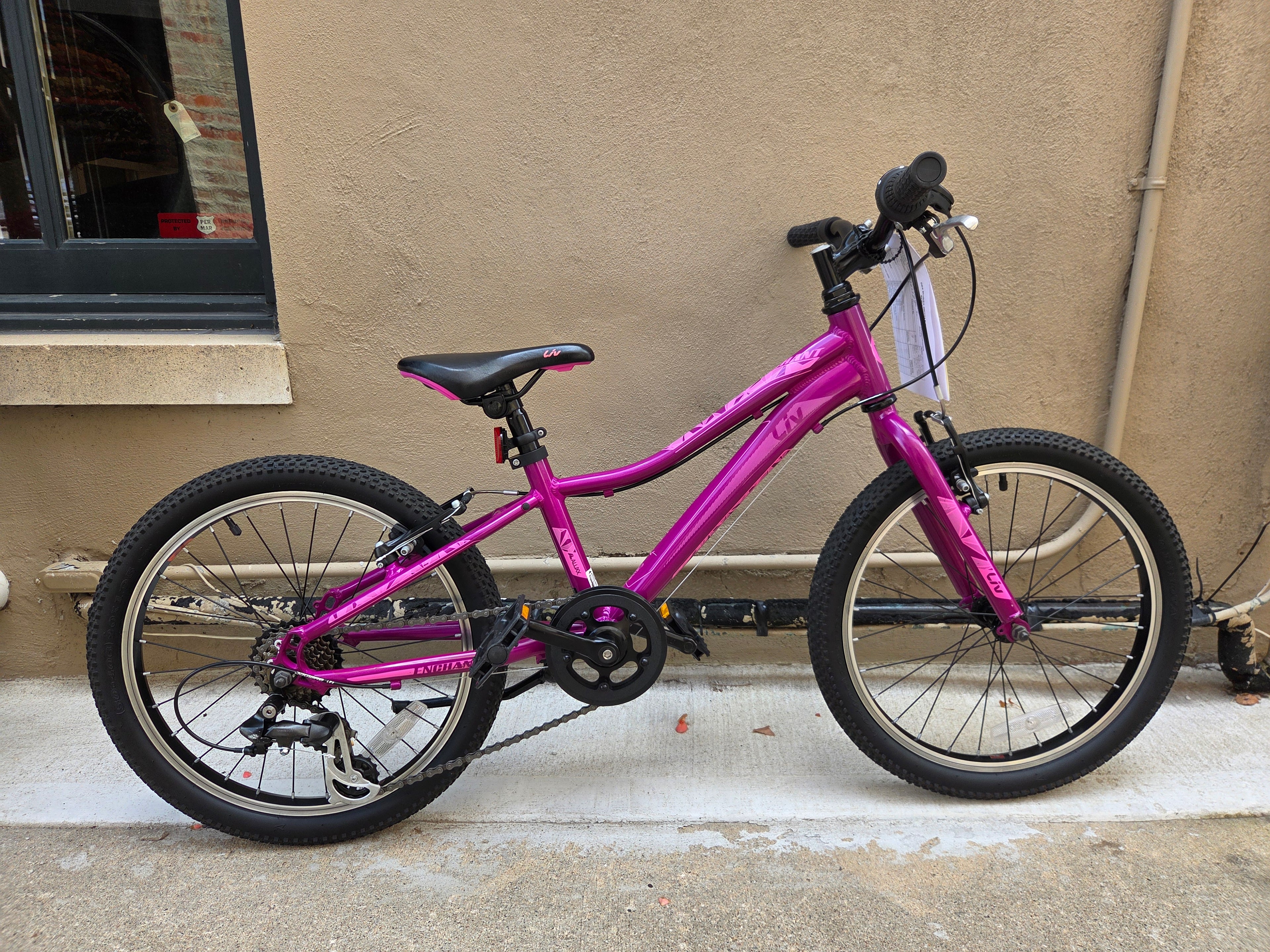 Liv Enchant Purple 20" Wheels