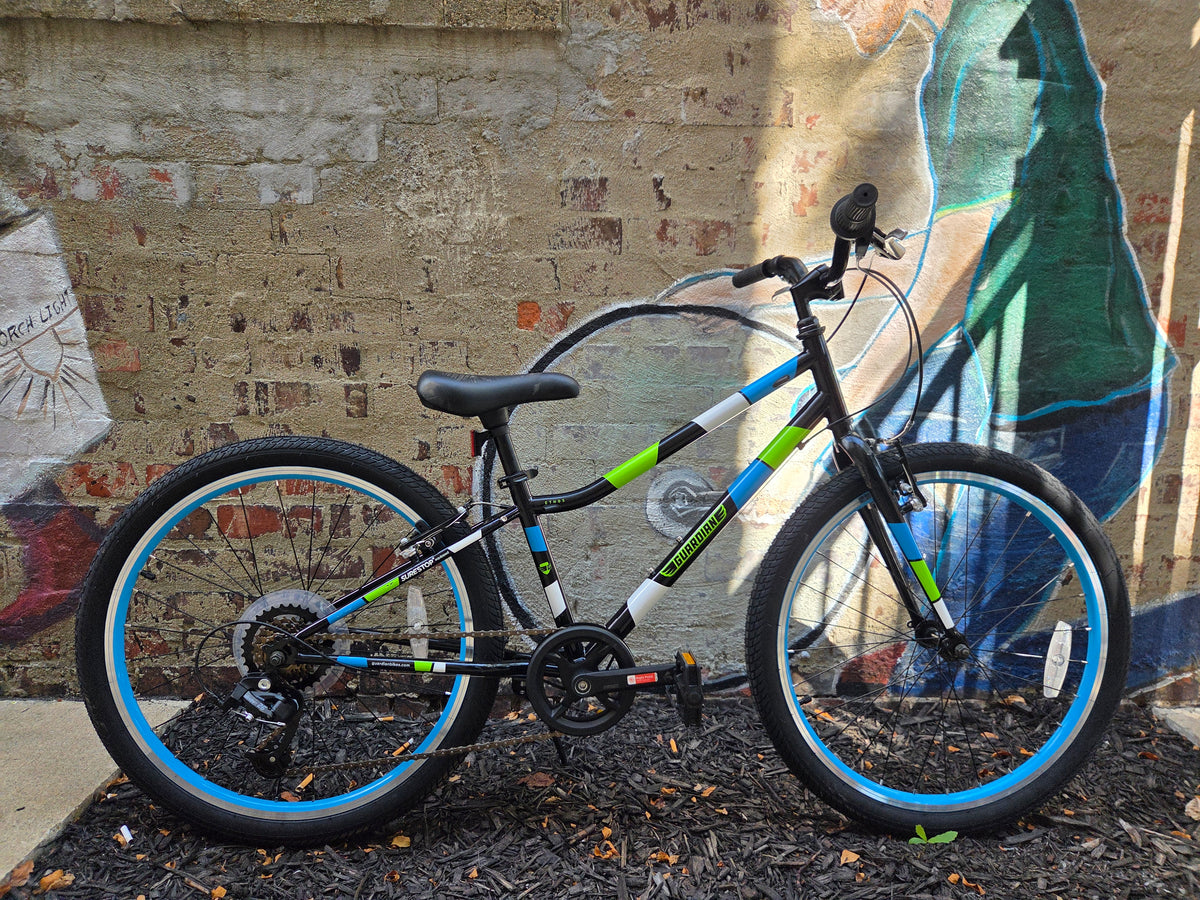 Guardian Ethos Blk/Wht/Grn/Blu 24" Wheels